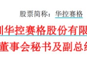 安顺华控赛格董事长、董秘、副总经理三高管同日辞职